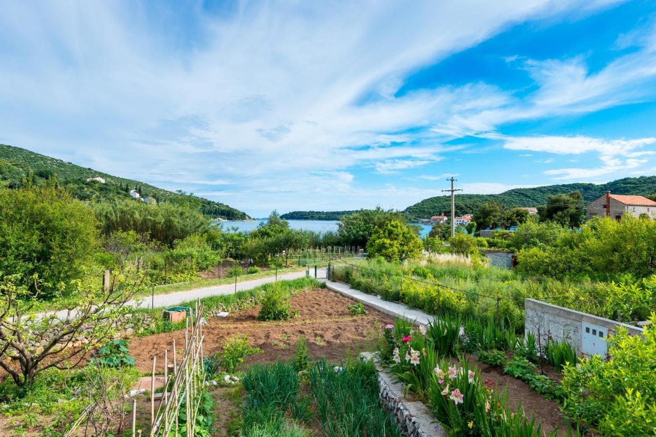 Holiday Home Garden Zaton  Exterior photo